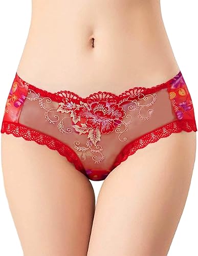 COMBO (6-PIS) Rose lace Embroidered Flower Panties Women's Sexy Transparent Low-Rise Ladies Briefs-thinqpink